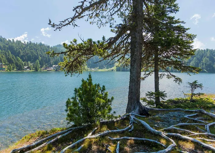Turrach Lodges By Alps Resorts